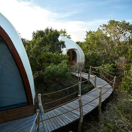 Wild Coast Tented Lodge Yala Exteriér fotografie